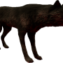 mob_level_29_black-warg.png