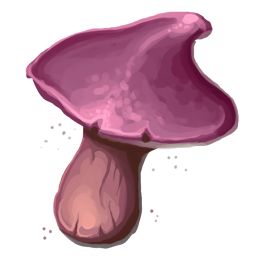 Fungoid mushroom