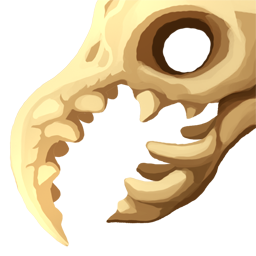Crocodile Skull Crocodile Skull