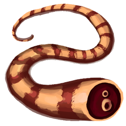 Cola de Lagarto Cola de Lagarto