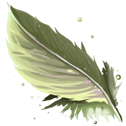 Bear's Feather Bear's Feather