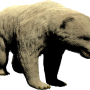 mob_level_49_polar-bear.png