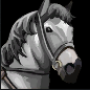 white_horse.png