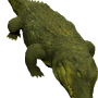 mob_level_30_crocodile.png
