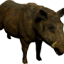 mob_level_9_dirty-boar.png